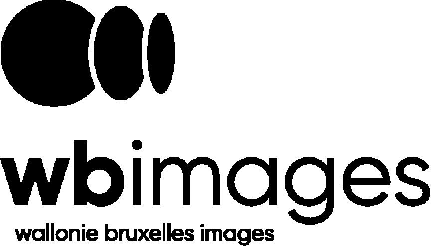 Séance de pitchs Visions du Réel : Appel à documentaires