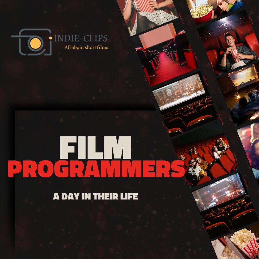 The Unsung Hero of Cinema: A Day in the Life of a Film Programmer